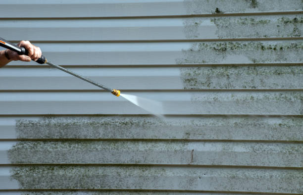 Best Roof Pressure Washing  in Carrollton, GA